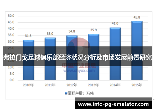 弗拉门戈足球俱乐部经济状况分析及市场发展前景研究