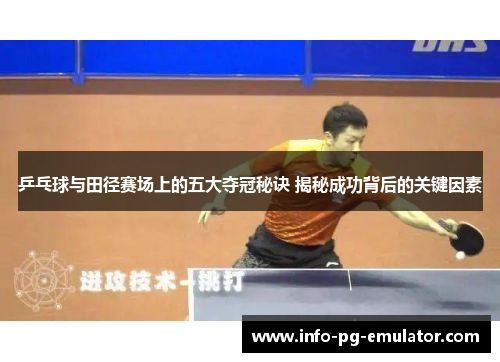 乒乓球与田径赛场上的五大夺冠秘诀 揭秘成功背后的关键因素