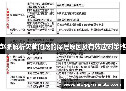 赵鹏解析欠薪问题的深层原因及有效应对策略